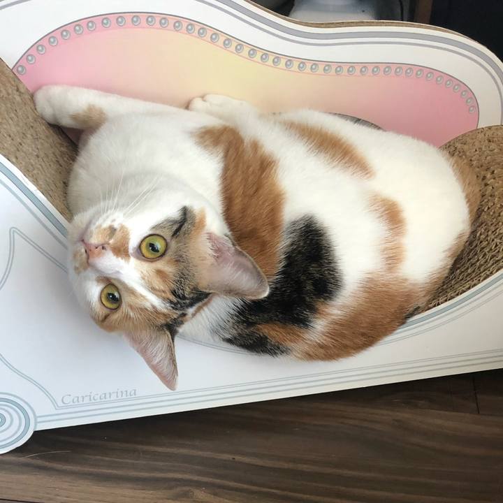 E8118240 9d41 4058 9f58 7bf71a78128e 1585783834571