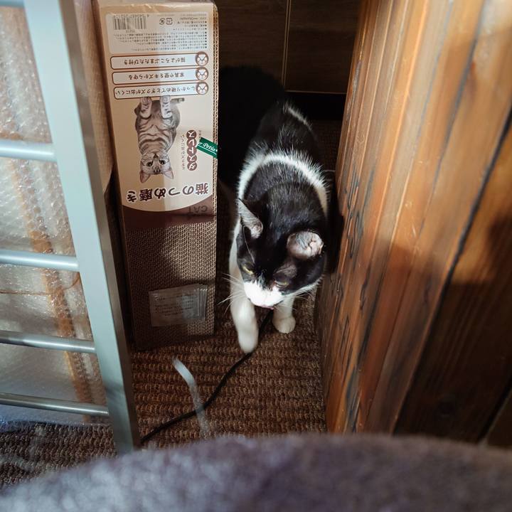 E81193ad 9ea3 415f b484 3d4a25794af1 1764806120978