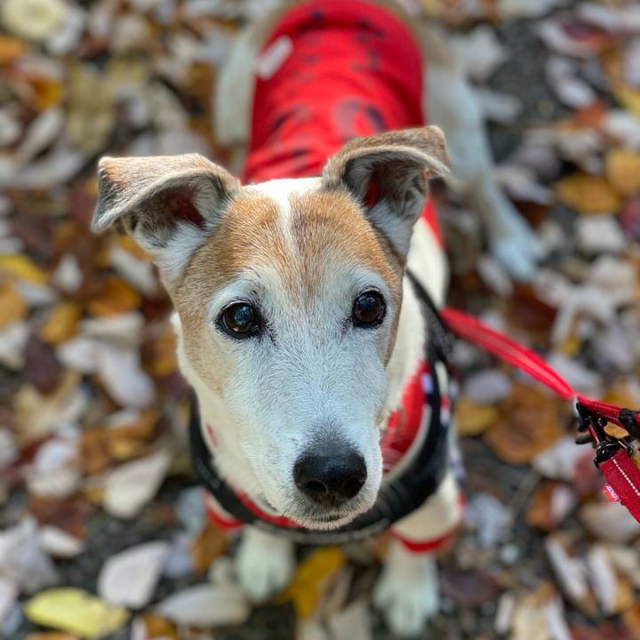 E8119912 0dbf 4672 8bce 64a579fab5bd 1605423731450