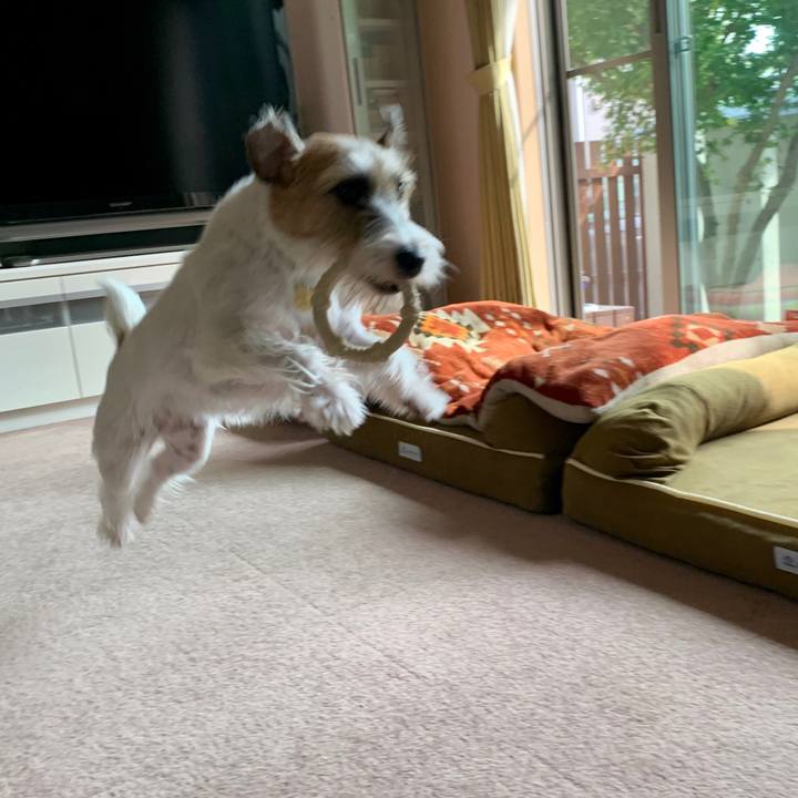 E811adeb 7e66 40aa 86e4 07cb427e0384 1601701658676