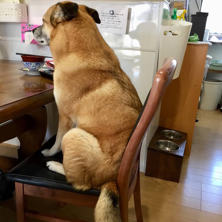 E811b9af 1a84 495c a46b fd4c3cc27ee5 1522192520204