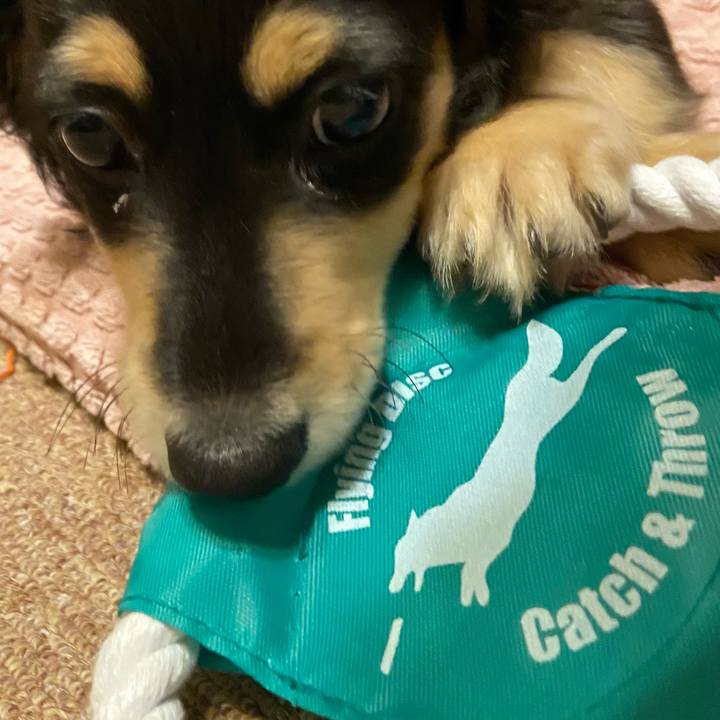 E811fa48 228f 41a9 84a5 ebff0a290209 1666693804611