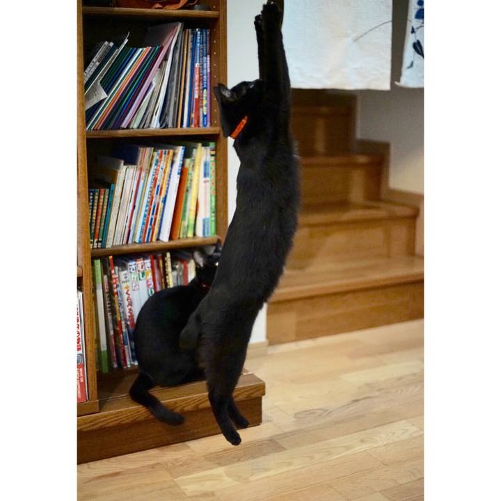 E8120fd4 ff7a 4397 9f01 934ac51ce2e1 1521684201336