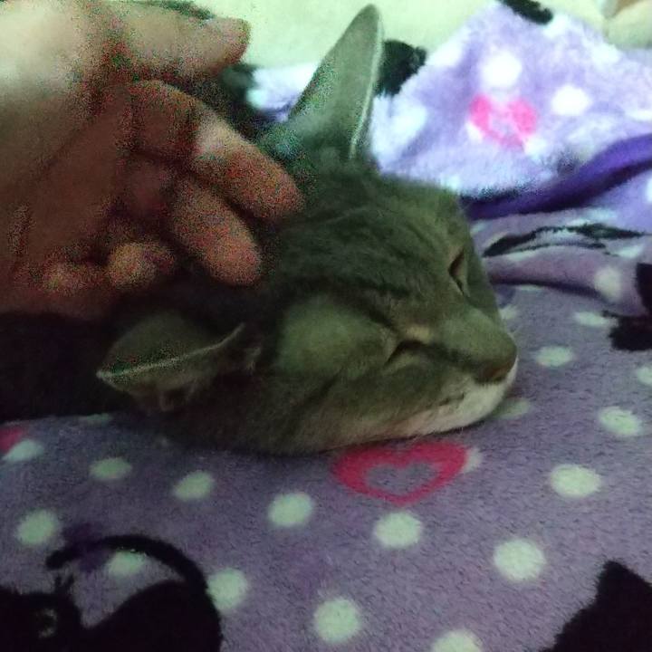 E8121760 c2a0 447f bc26 49fdac438e1f 1698736526091