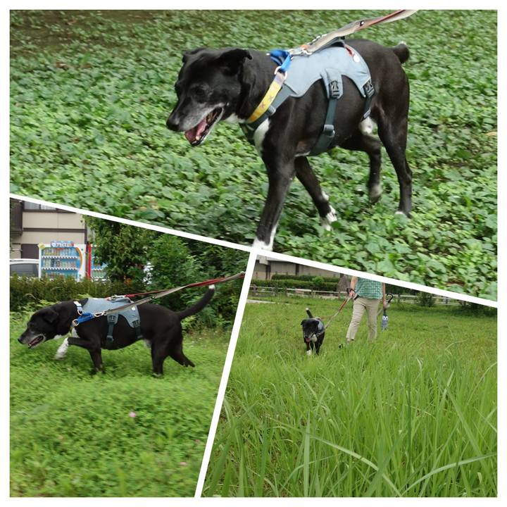 E8121859 9057 4f61 9bf4 bad8c271ff7d 1751412267636