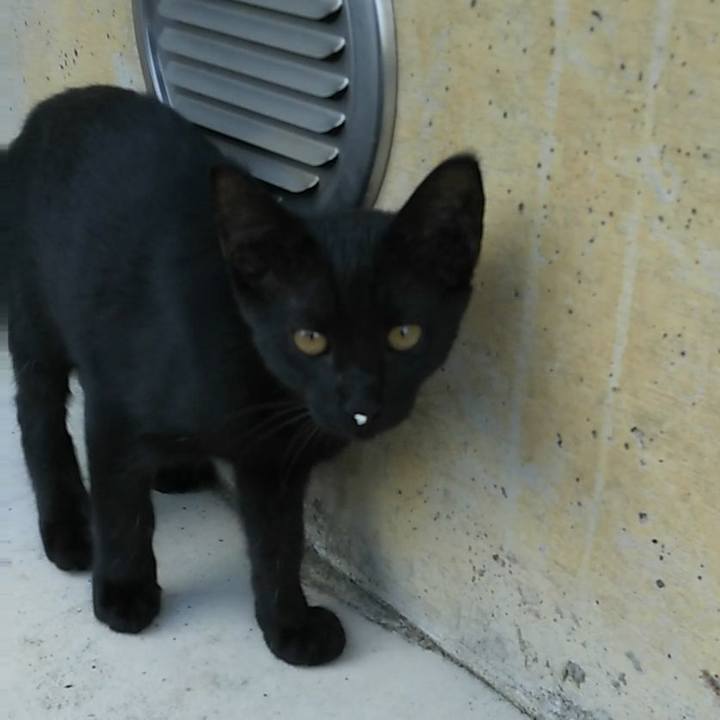 E81226a6 bfc7 4e86 aa55 6ce260287626 1536324960363