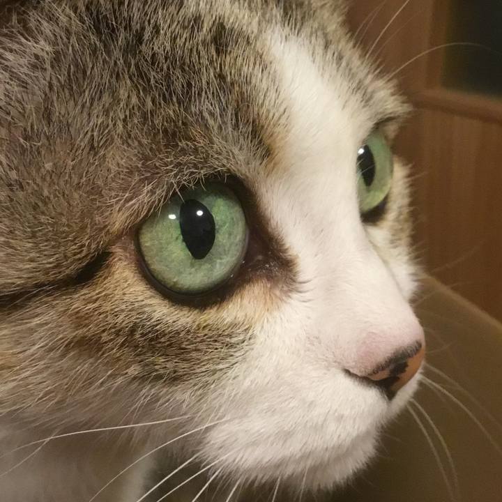 E81270ea bf48 436c b49e 55d7aea90702 1768863383742