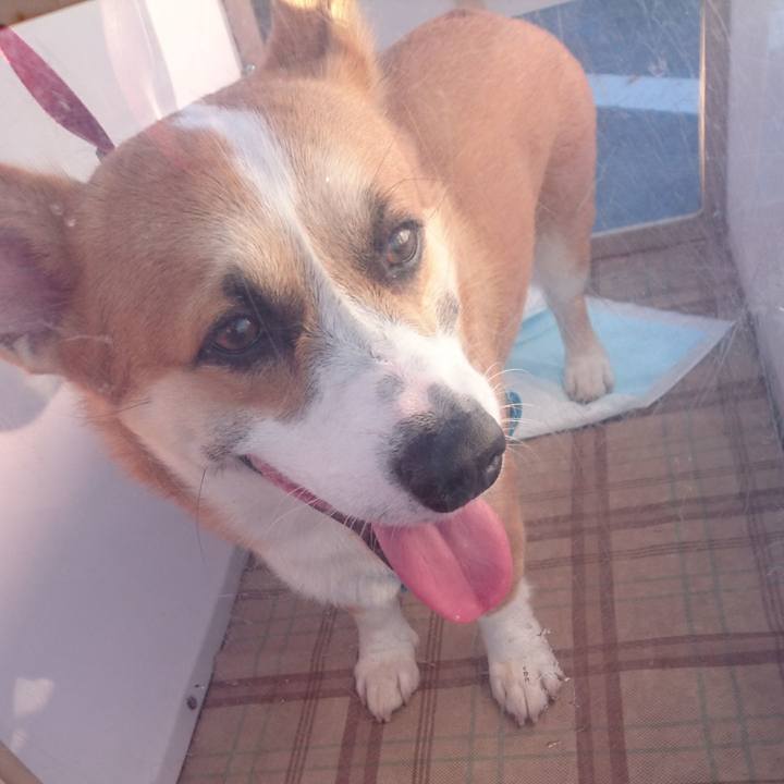 E8127287 04d3 45c3 849b 07d68ca66db3 1570949502068