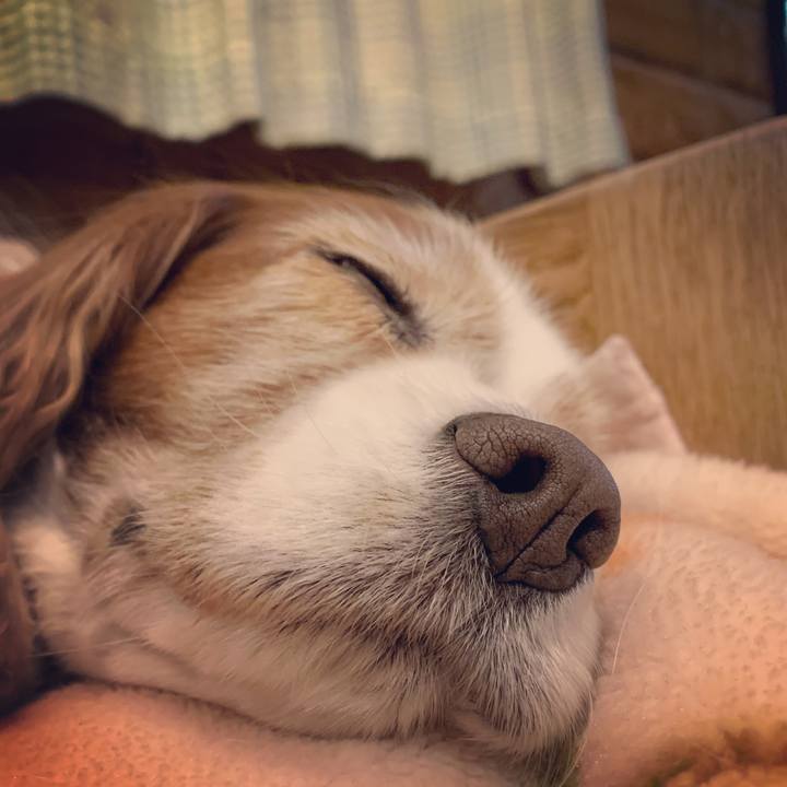 E8128190 ada0 42d4 8f35 ed62a7dfb7fa 1580557337961