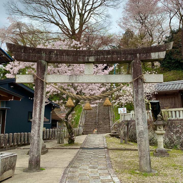 E812d3b3 6c75 47de 8a1c cbf4282bc3a7 1617532714462