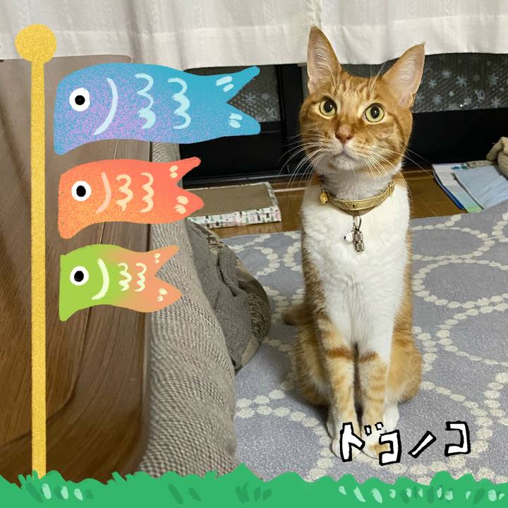 E812de69 5d28 4ee1 bba2 43da3d4e6b08 1714878263301