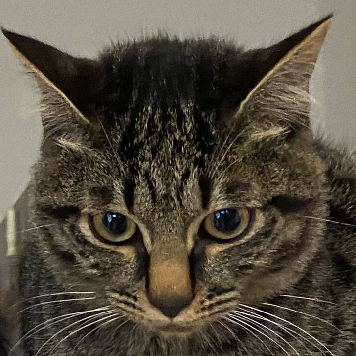 E812eb2b 7186 4fa6 8a06 8feade6832ac 1619273299415