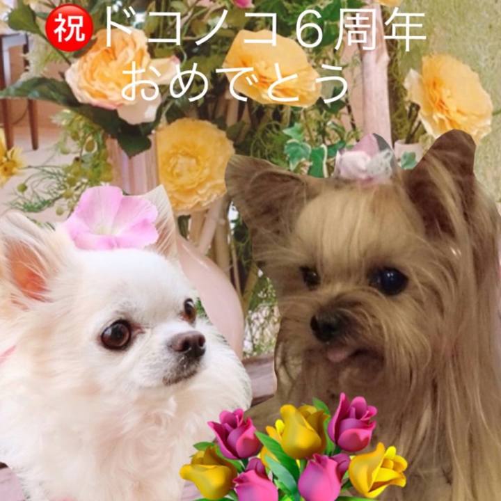 E812fb8d 9691 40aa 9bb2 54a804824b6f 1654439172649