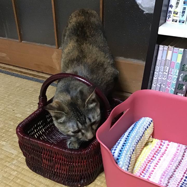 E8131aad 8146 4f9d 93ae 9533d9c5027d 1628421149311