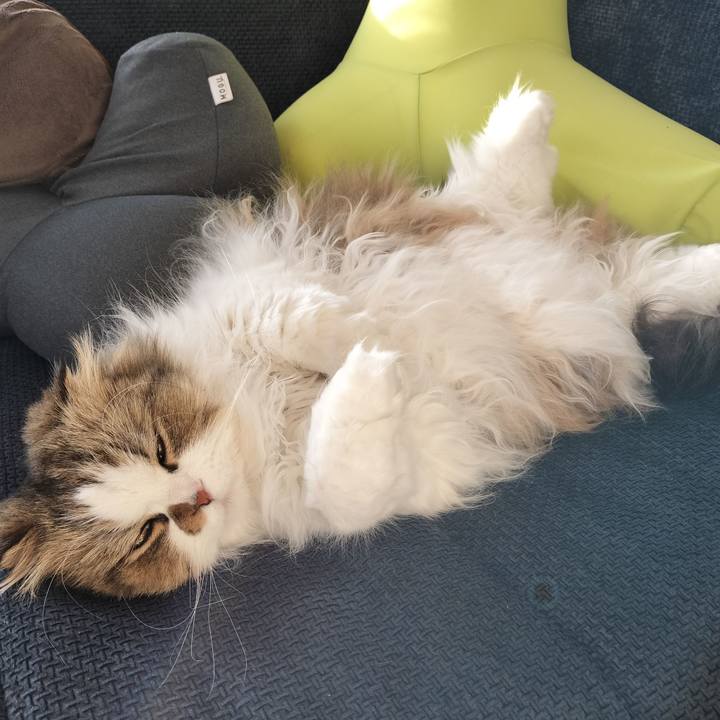 E8133775 a8f1 4428 859c 68f8d91118e1 1760857893345