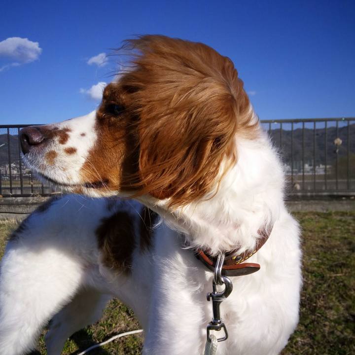 E8136e52 2e41 44a7 87ab c0c6aa6f1e7e 1516783949439