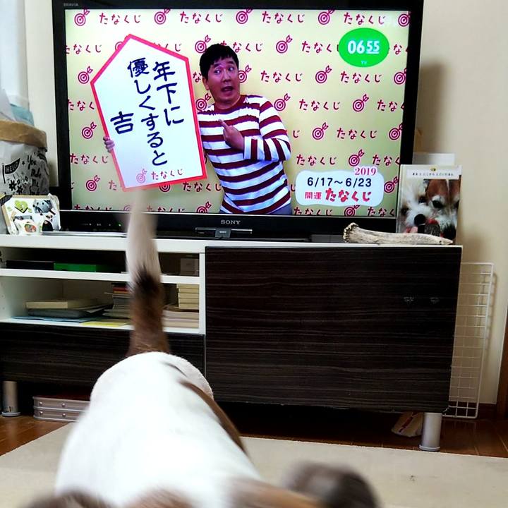 E813f57d 26d5 4814 889a ae7b346b0b79 1560723312231