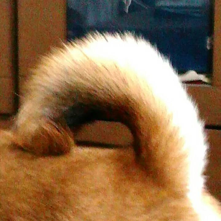 E814106c ce35 49d0 9d29 93a67ef9a86a 1516021478974