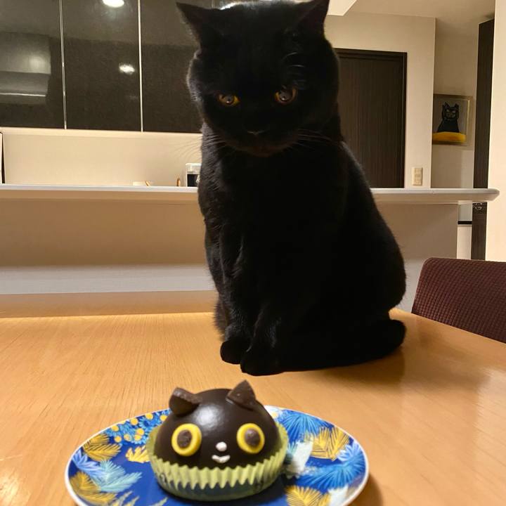 E8142955 f0be 4ecd 8f8b ac0ca6232886 1708591523361