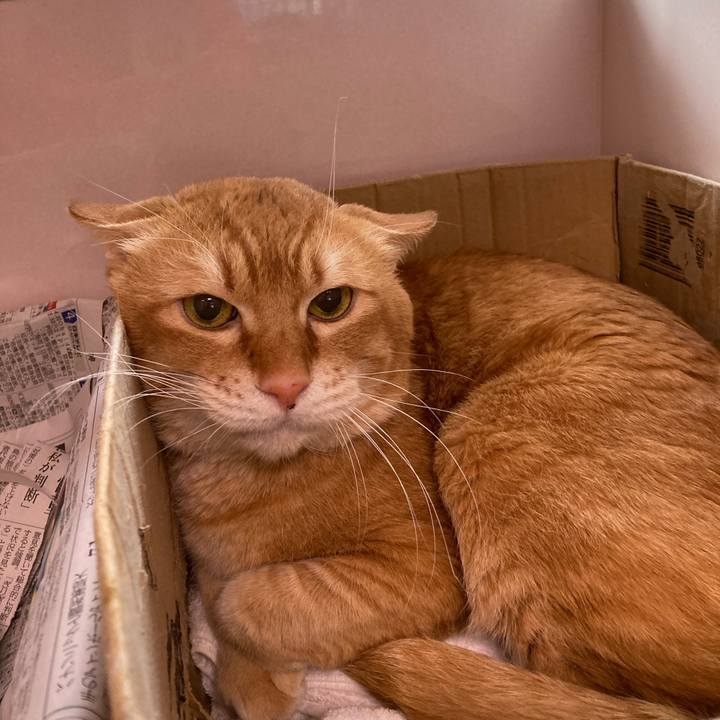 E8142dd4 2d15 4cc5 9c74 7430bb23e4e6 1642850786395