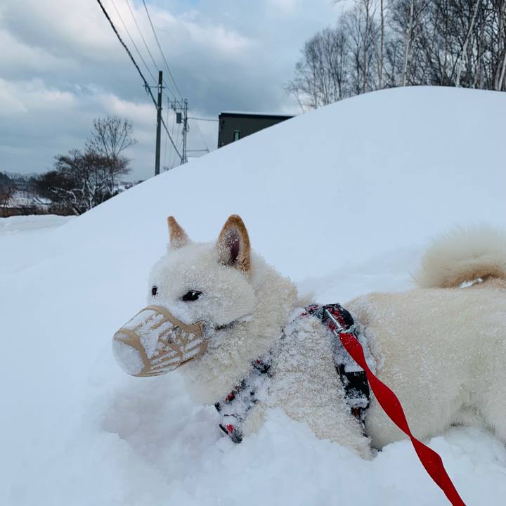 E814583e c080 4788 ad01 2fe53ed5a9c0 1609202933408