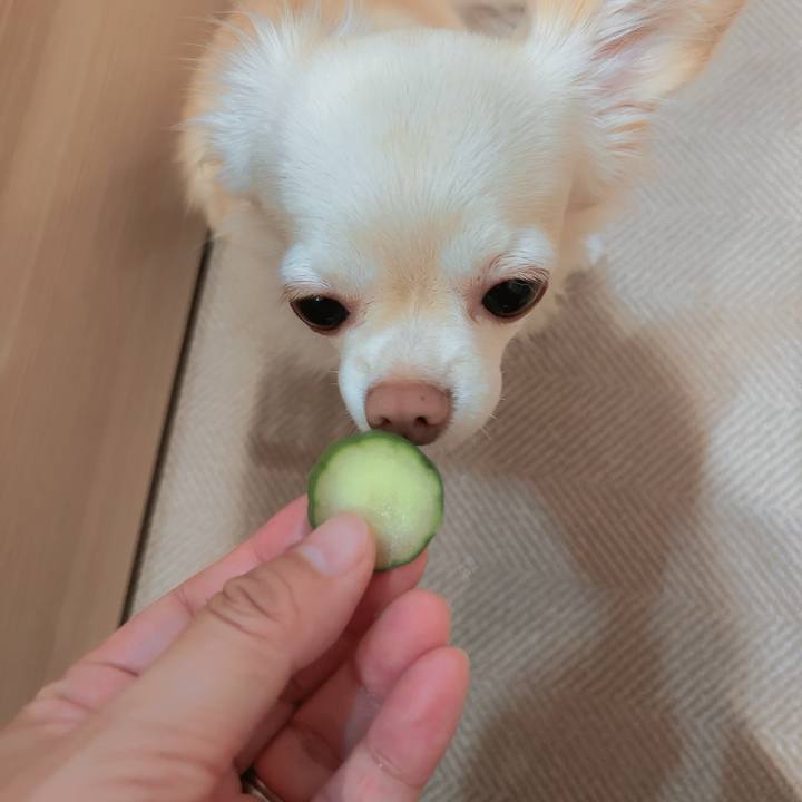 E814afaa 1a7e 4add 9461 d51fbd254f77 1693835880649