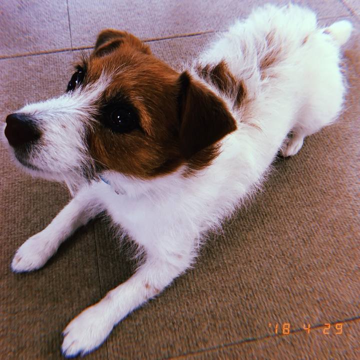 E814bf90 7326 47a1 8dcf 1c429c0df36d 1524994415104