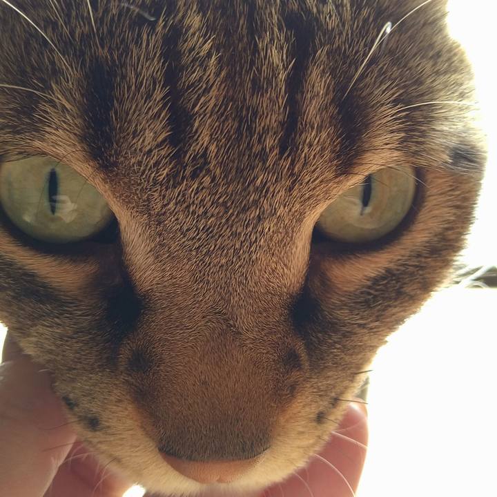 E814c248 139f 4e95 9577 76a5143470df 1618012463364