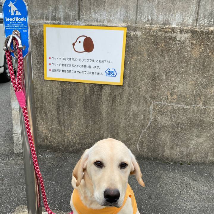 E814ed90 4cc4 4eca 94ac dc0dcb8bef17 1618197619336