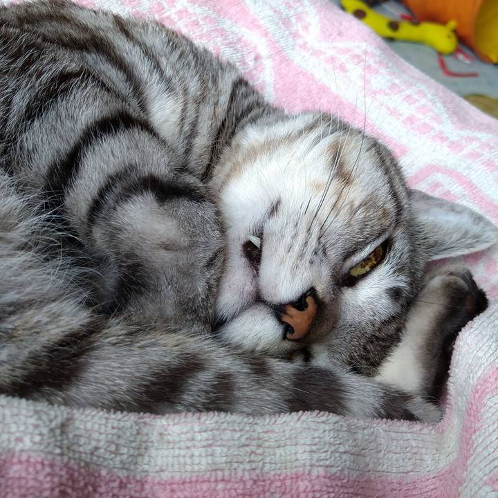 E8150829 c8e1 4927 bf6c 98d0900a6dc3 1679627034741