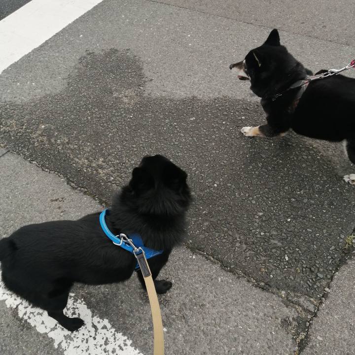 E8150b0e 9d0a 45b7 a31f 67d66790d0a8 1622934012817