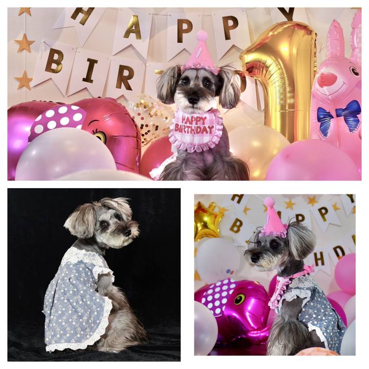 E81521bf f9e5 4c69 8b61 967276058aa4 1717802688707