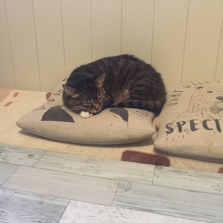 E81522fa a8e2 4a15 8740 620968ae0255 1574631697046