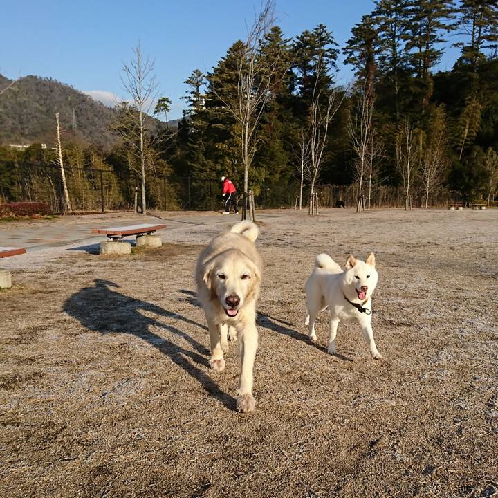 E8152483 50f8 4e2a 8993 56f0295a3ed8 1549066986521