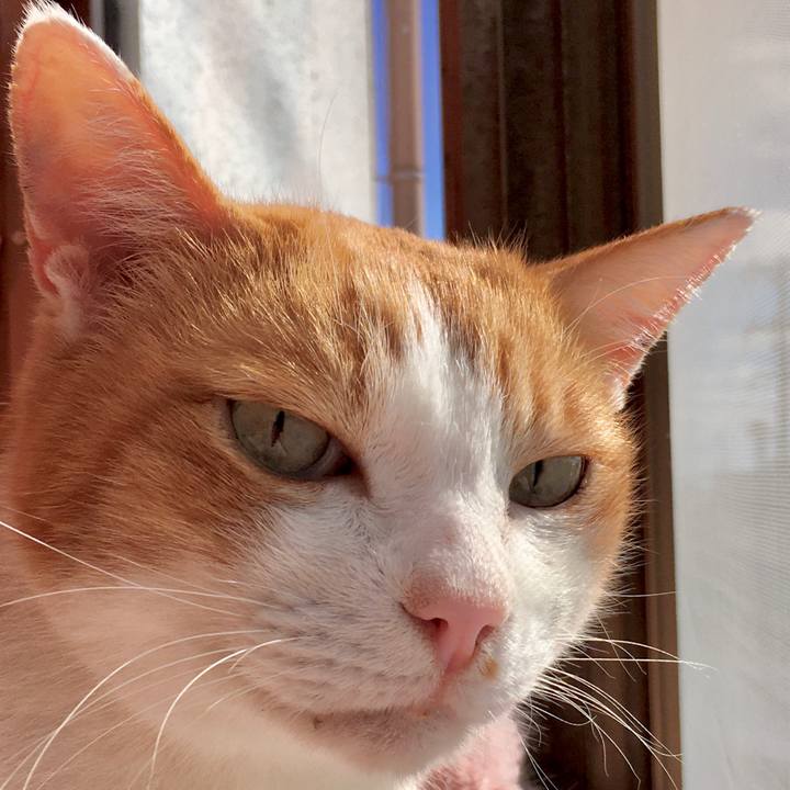 E8152e12 8d74 4bb7 acc5 18b0c15dffe6 1574840562661