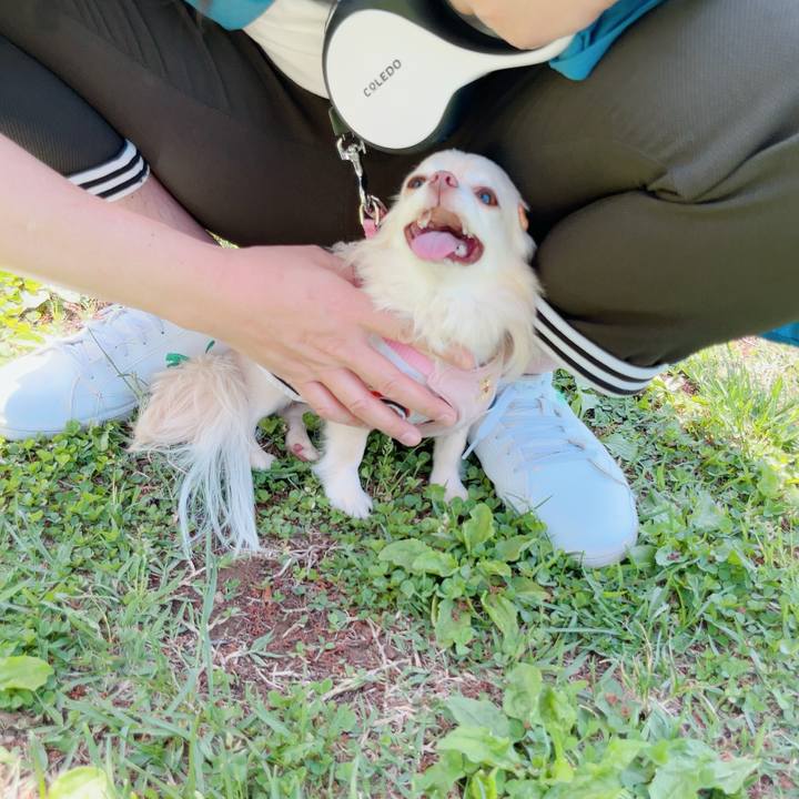 E815a167 3859 4148 846e f9d0f1350b84 1714288163674