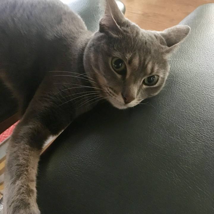 E815cc7e c6e5 4445 aaec 56e9db786e83 1550484784712