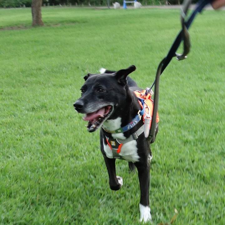 E815e884 1801 4cab 804a 2d27e64737dc 1722595441259