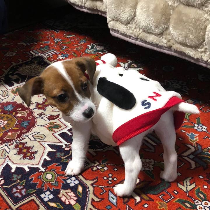 E815fe0e 0499 4aba 93cb b0eda1b6303d 1510873517116