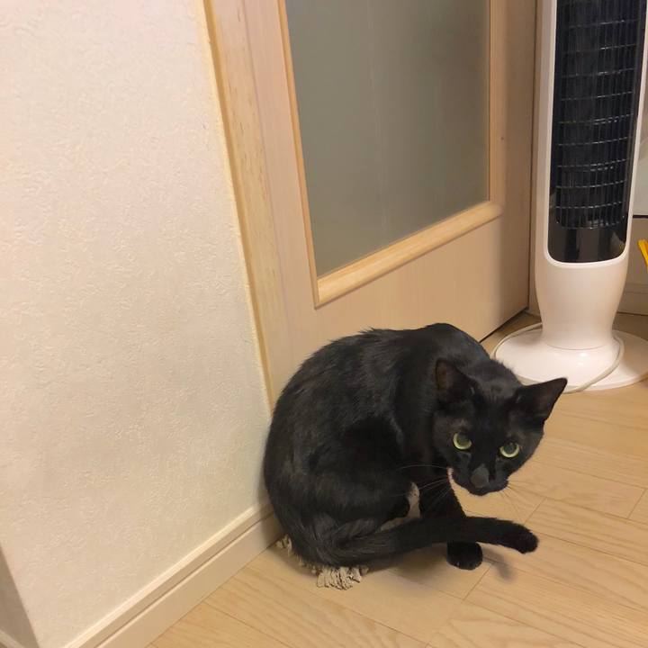 E8160df1 07a1 4c19 b5e8 055aca78daa1 1534857221884