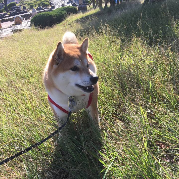 E8160eff 9620 4d34 a1e9 3215fdbfd909 1540082147087