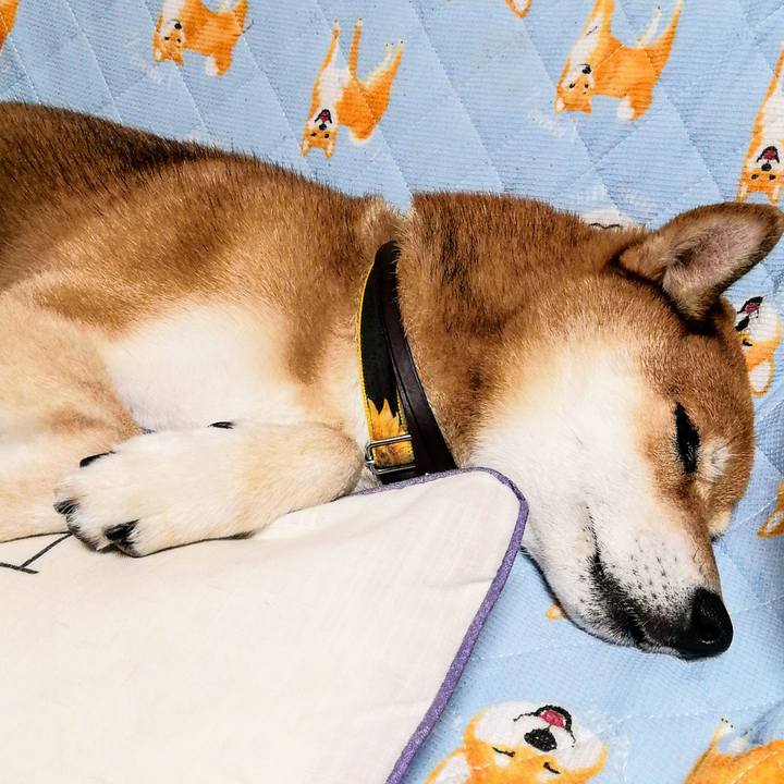 E816119a e2f5 44af 816a b1926d355a7e 1630506764695