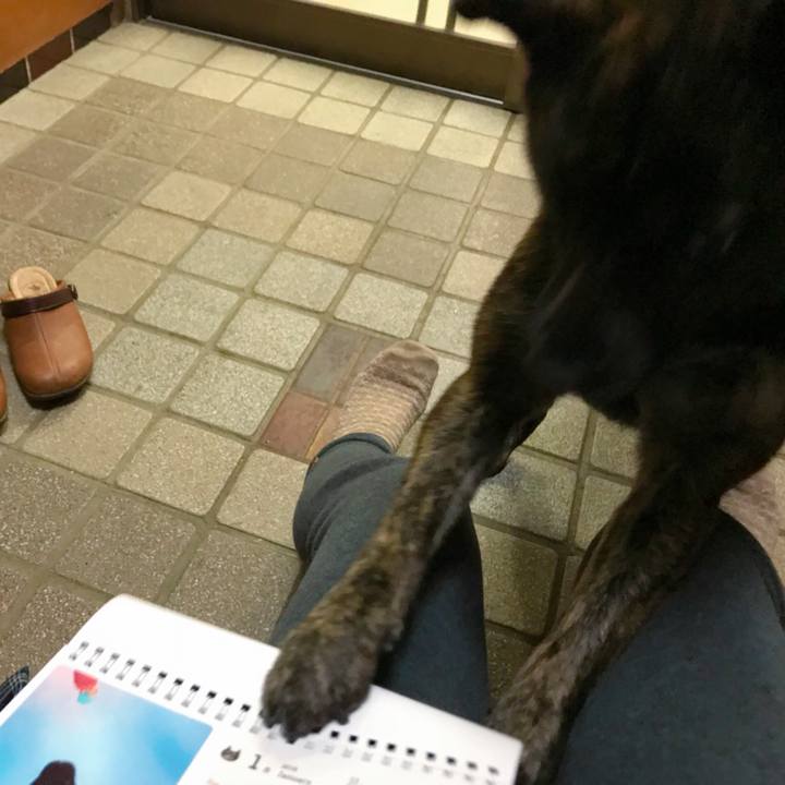 E81634a3 8523 438b a079 488262cec6a0 1517047105135