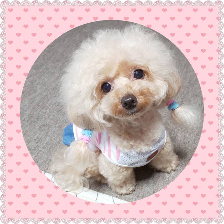 E81634b1 a195 4fa7 a136 b1c57f57b28e 1568465081076