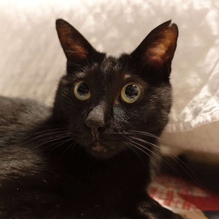 E81652e1 68c8 4e2e 9091 330e42026a02 1563804684547