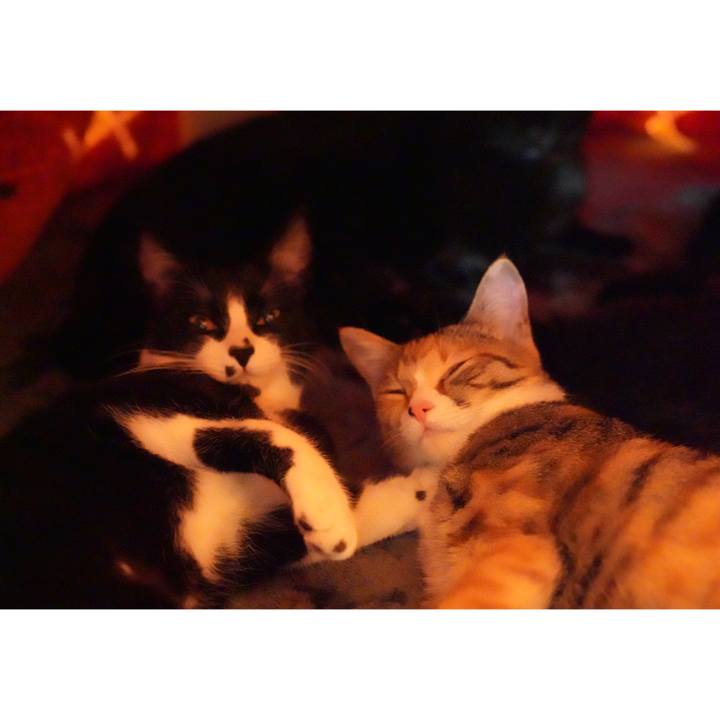 E816ade7 f7ee 40f5 a9e2 7324cb46ec79 1580268372940