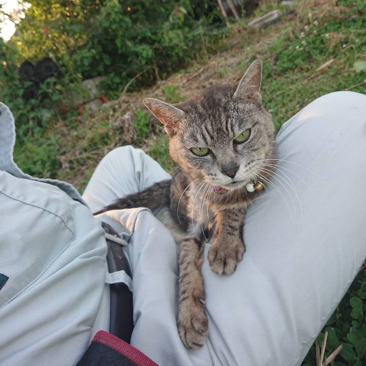 E816e550 ca52 40f2 b963 250412dad07c 1591780717390