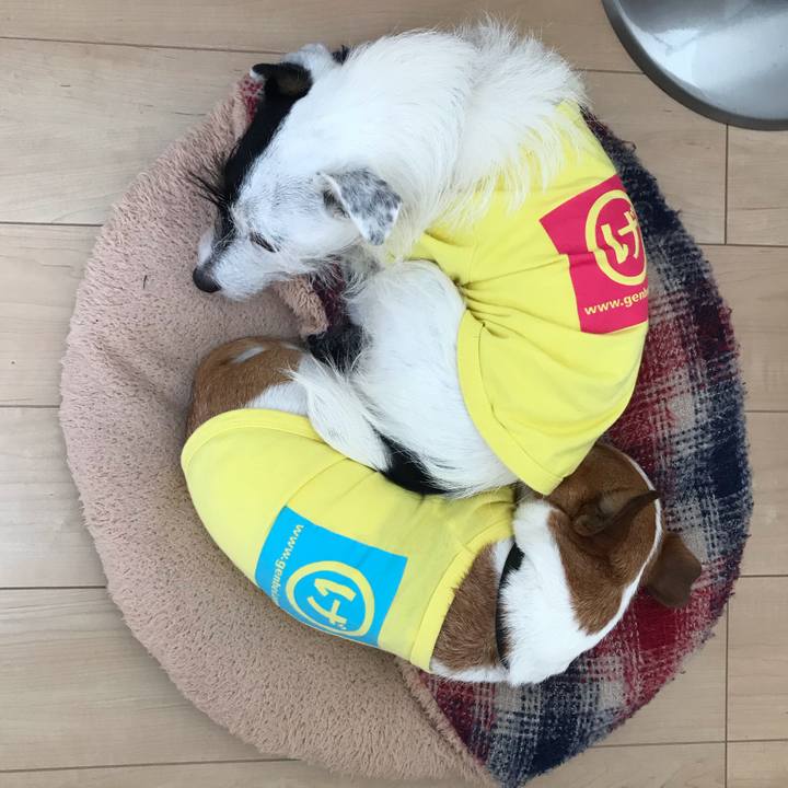 E816e7e4 9ed2 4bdc b5c0 9914ea33ac52 1541028977074