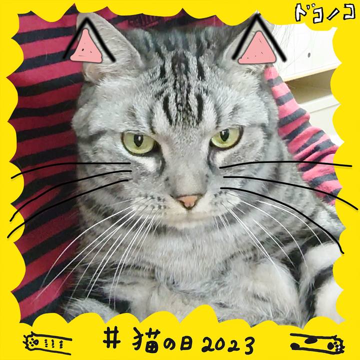 E8170e2a 76b6 457b a837 e28f8a650ee4 1677029831566