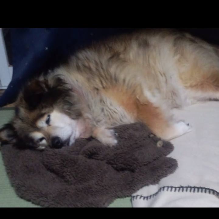 E81718d3 4e54 4b8a 999c 012390e3f223 1551436592357